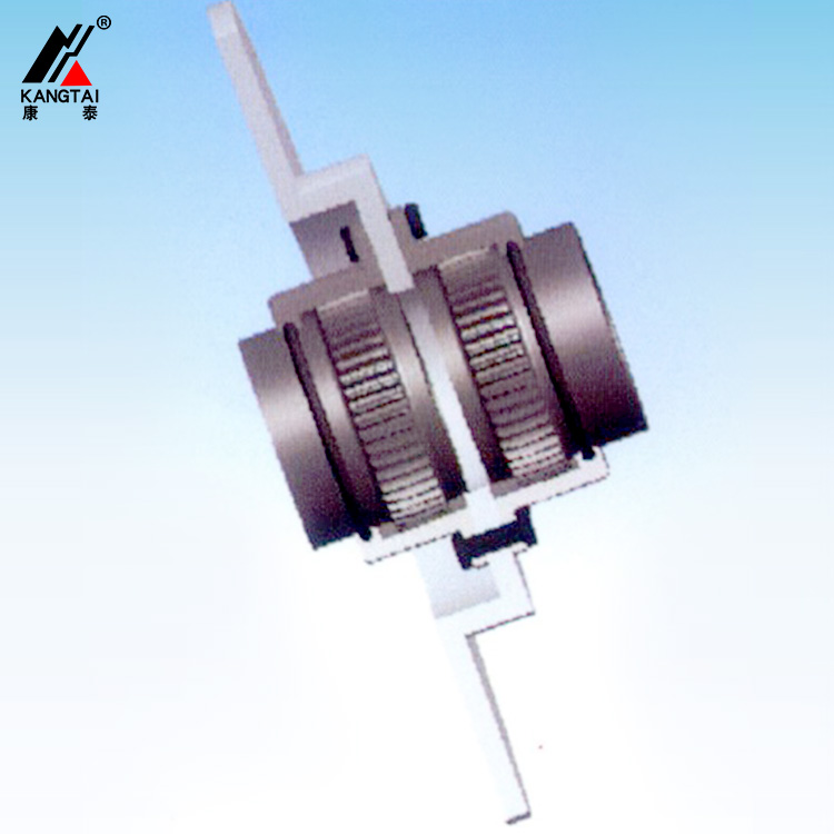 WGP-1帶制動盤型鼓形齒式聯(lián)軸器